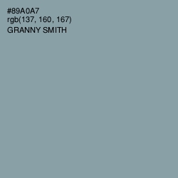 #89A0A7 - Granny Smith Color Image